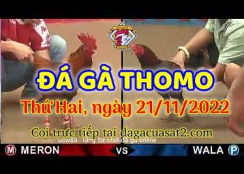 da ga cua sat thang 11-2022 (21)