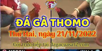 da ga cua sat thang 11-2022 (21)