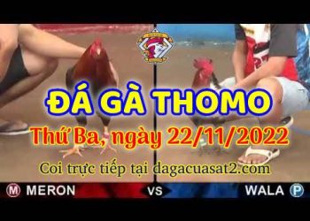 da ga cua sat thang 11-2022 (22)