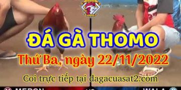 da ga cua sat thang 11-2022 (22)
