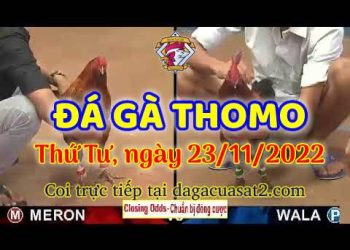 da ga cua sat thang 11-2022 (23)