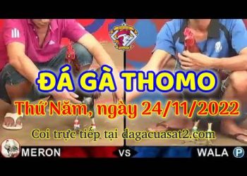 da ga cua sat thang 11-2022 (24)