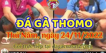 da ga cua sat thang 11-2022 (24)