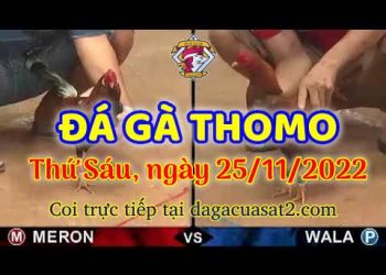 da ga cua sat thang 11-2022 (25)