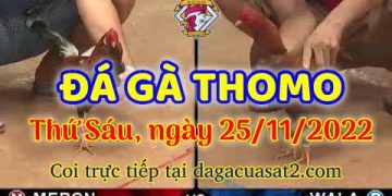 da ga cua sat thang 11-2022 (25)