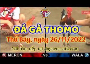 da ga cua sat thang 11-2022 (26)