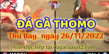 da ga cua sat thang 11-2022 (26)