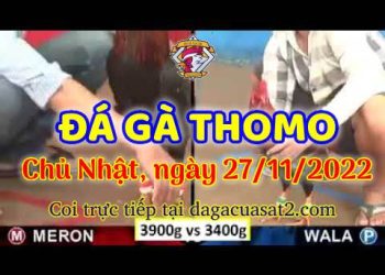 da ga cua sat thang 11-2022 (27)