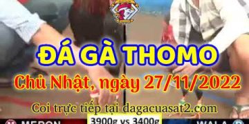 da ga cua sat thang 11-2022 (27)