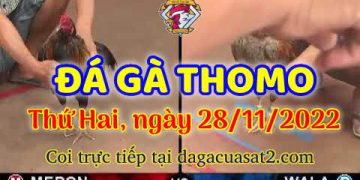 da ga cua sat thang 11-2022 (28)