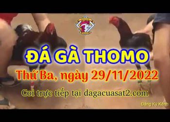 da ga cua sat thang 11-2022 (29)