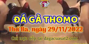 da ga cua sat thang 11-2022 (29)
