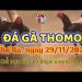 da ga cua sat thang 11-2022 (29)