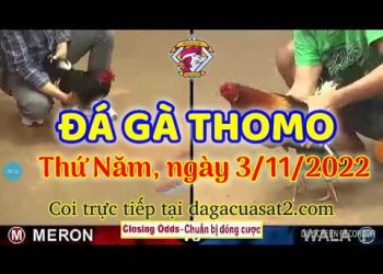 da ga cua sat thang 11-2022 (3)