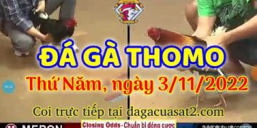 da ga cua sat thang 11-2022 (3)