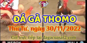 da ga cua sat thang 11-2022 (30)