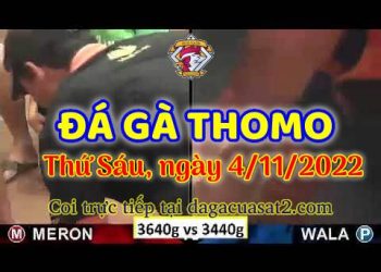 da ga cua sat thang 11-2022 (4)
