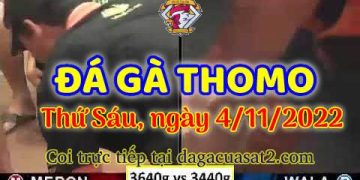 da ga cua sat thang 11-2022 (4)