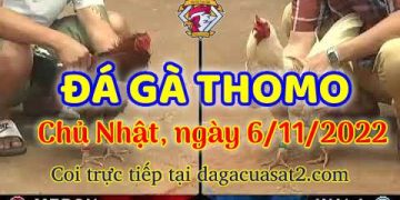 da ga cua sat thang 11-2022 (6)