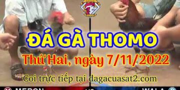da ga cua sat thang 11-2022 (7)