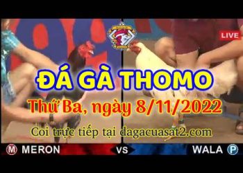 da ga cua sat thang 11-2022 (8)