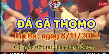 da ga cua sat thang 11-2022 (8)