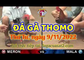 da ga cua sat thang 11-2022 (9)