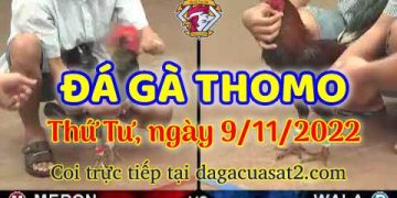 da ga cua sat thang 11-2022 (9)