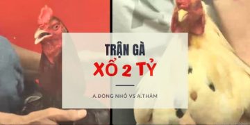 tran ga xo 2 ty -2406