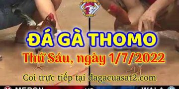 da ga 7-2022- dagacuasat (1)