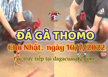 da ga 7-2022- dagacuasat (10)