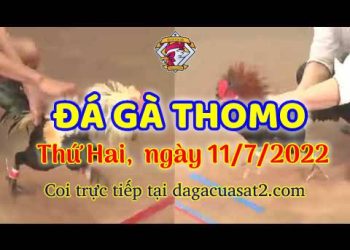 da ga 7-2022- dagacuasat (11)