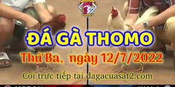 da ga 7-2022- dagacuasat (12)