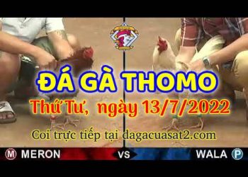 da ga 7-2022- dagacuasat (13)