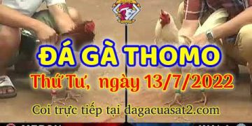 da ga 7-2022- dagacuasat (13)