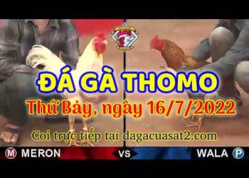 da ga 7-2022- dagacuasat (16)