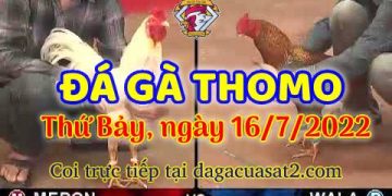 da ga 7-2022- dagacuasat (16)