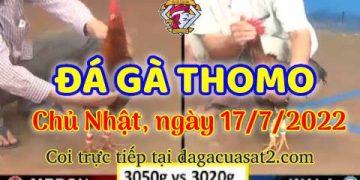 da ga 7-2022- dagacuasat (17)