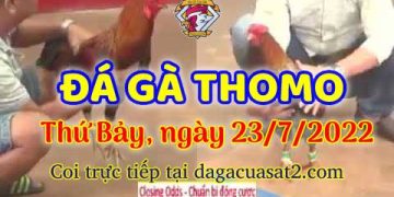 da ga 7-2022- dagacuasat (23)