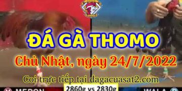 da ga 7-2022- dagacuasat (24)