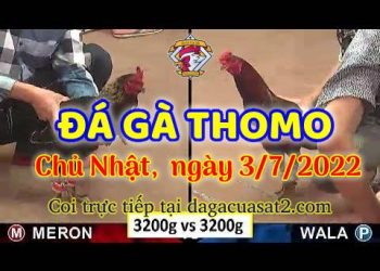 da ga 7-2022- dagacuasat (3)