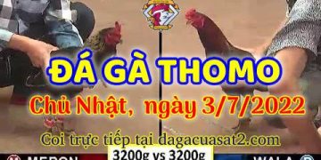 da ga 7-2022- dagacuasat (3)