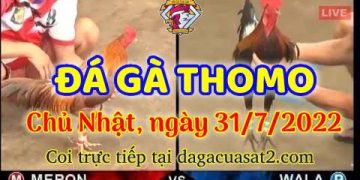 da ga 7-2022- dagacuasat (31)