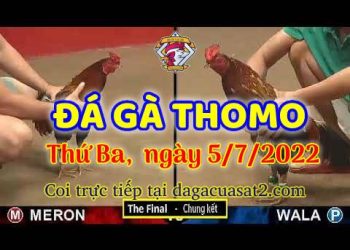 da ga 7-2022- dagacuasat (5)