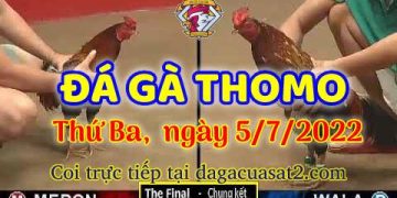 da ga 7-2022- dagacuasat (5)