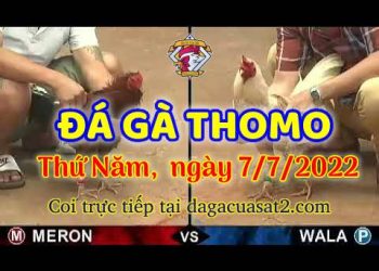 da ga 7-2022- dagacuasat (7)