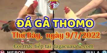 da ga 7-2022- dagacuasat (9)