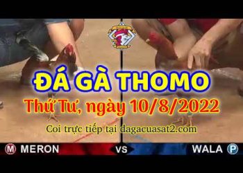 xem da ga truc tiep thang 8 (10)