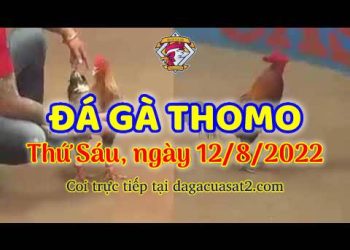 xem da ga truc tiep thang 8 (12)
