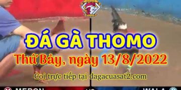 truc tiep da ga thang 8 (13)